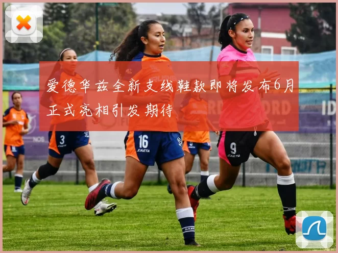 爱德华兹全新支线鞋款即将发布6月正式亮相引发期待