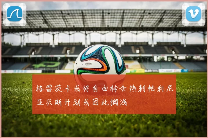 格雷茨卡或将自由转会热刺帕利尼亚买断计划或因此搁浅